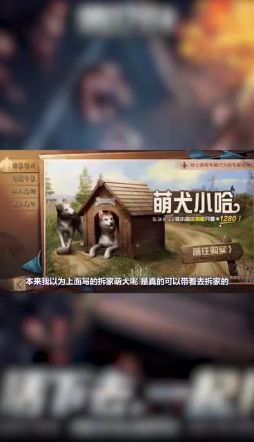 明日之后哈士奇它有什么用