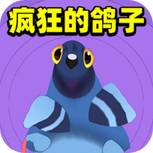 疯狂的鸽子233