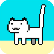 我家猫有残疾
