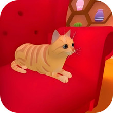 猫的日常模拟器