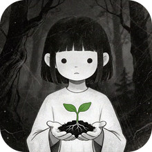 木与谜