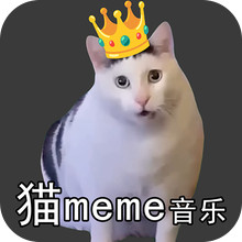 全民脑洞大作战-猫meme音乐