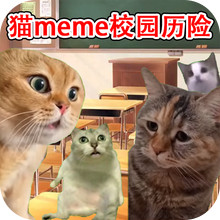 猫猫惊魂夜