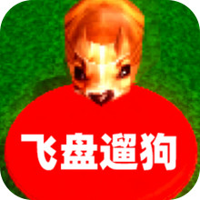 飞盘遛狗