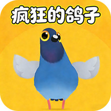 疯狂鸽鸽