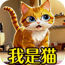 我的猫日记