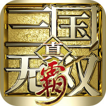 真•三国无双 霸