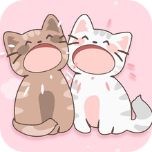 守护小猫