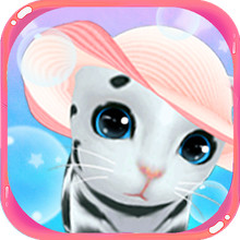 晴天小猫