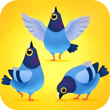 天道降临-疯狂的鸽子