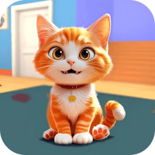 猫咪的旅程