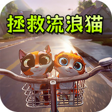 拯救流浪猫