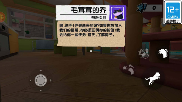 超绝小猫咪