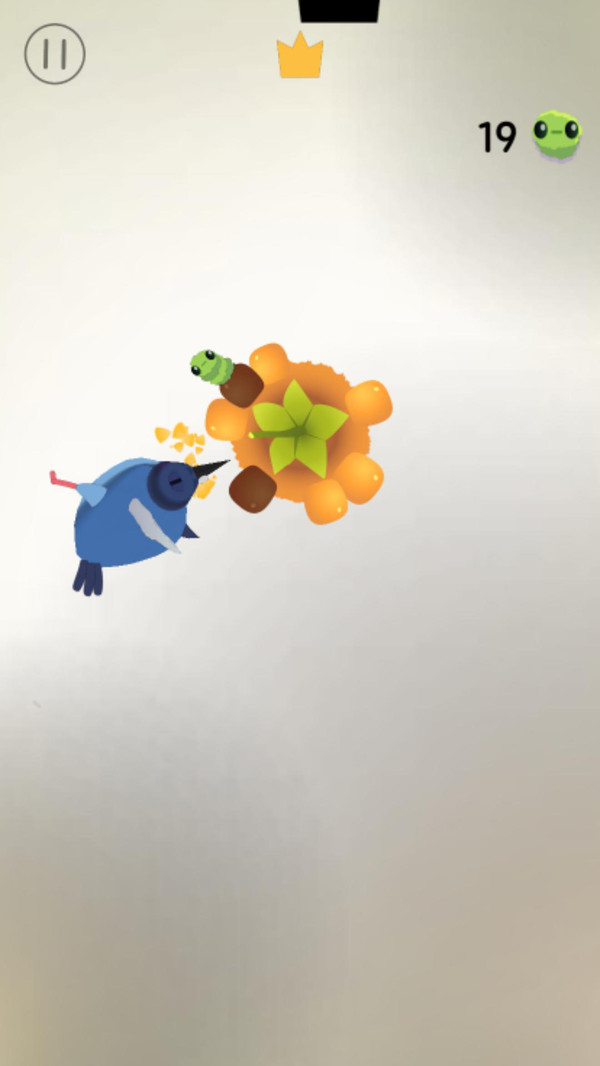 疯狂的鸽子全皮肤