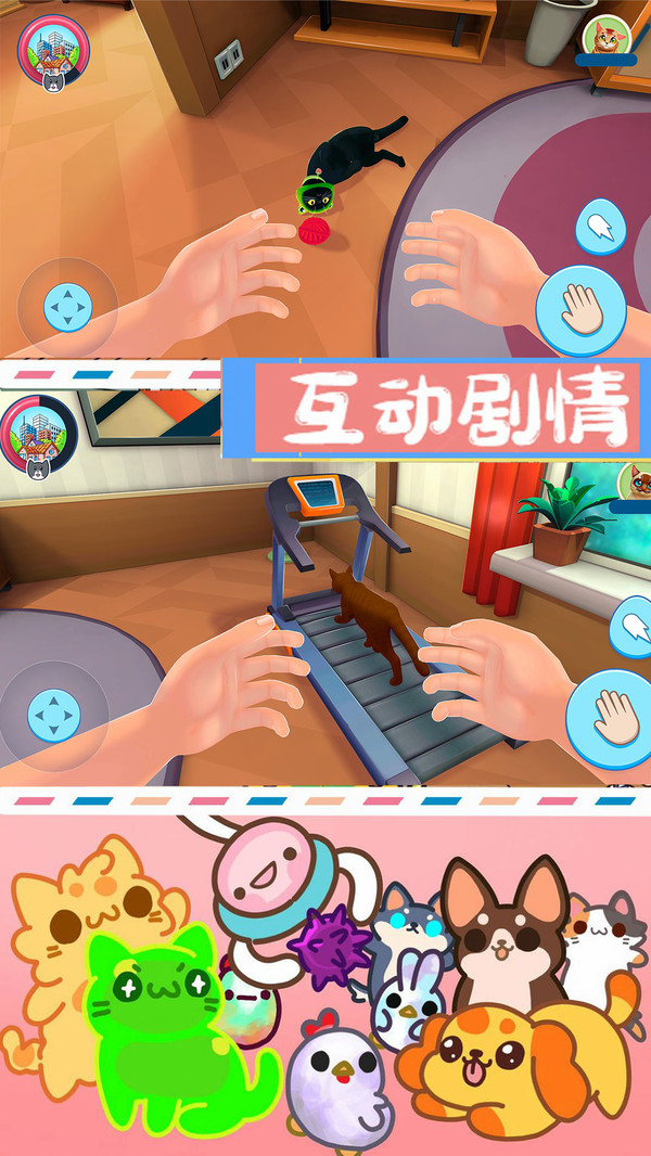 别切到猫咪