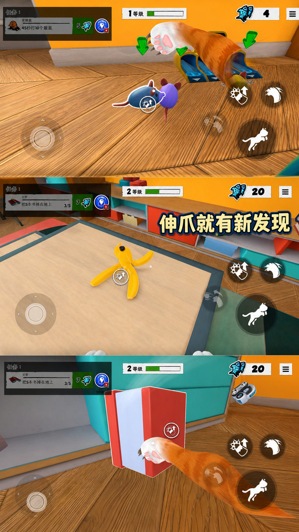 喵咪生活