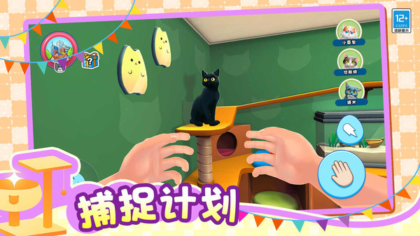 小小猫之家