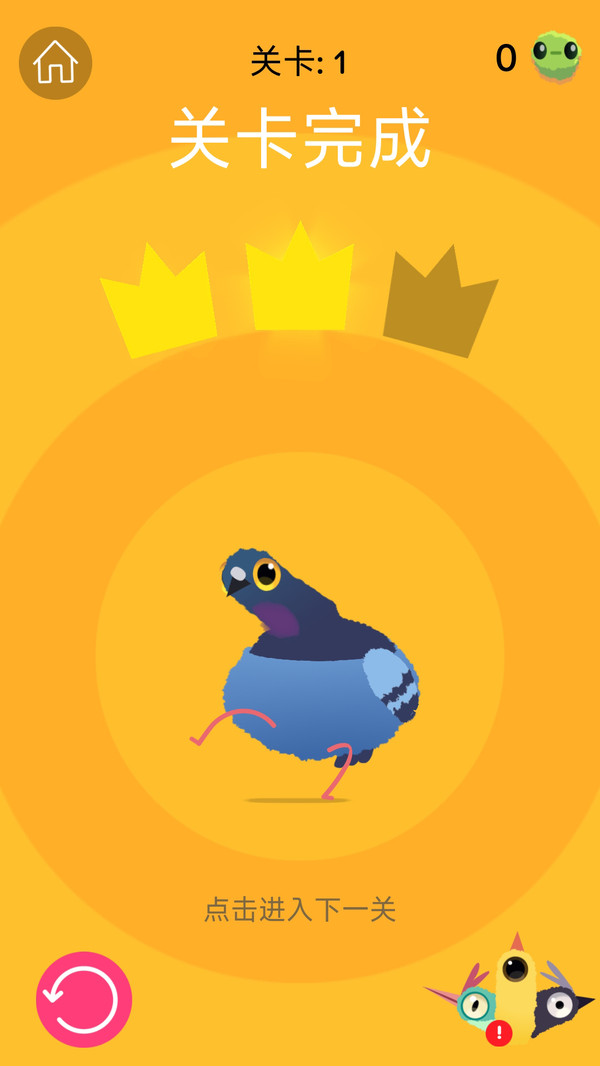 疯狂的鸽子-乱啄的鸽子