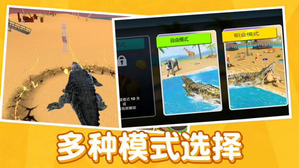 动物竞赛5