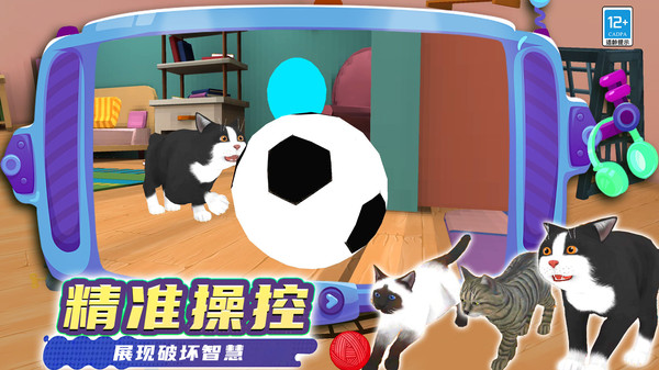 奇妙猫猫王国