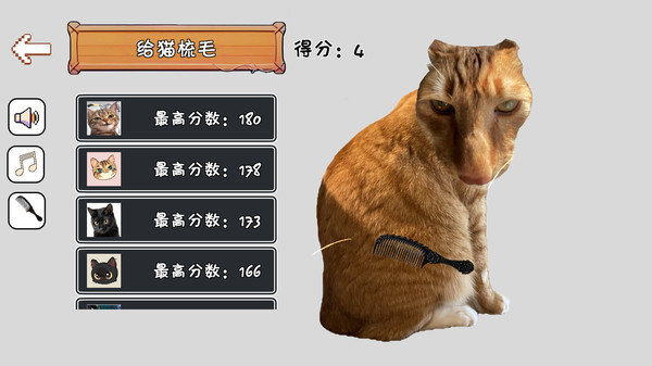 给猫梳毛