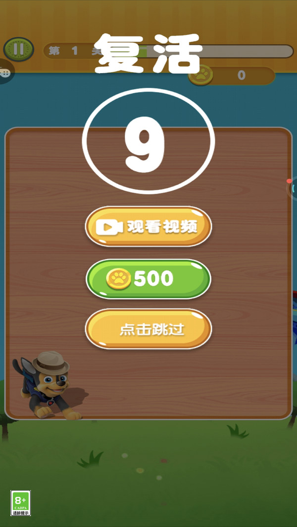 菜到飞起