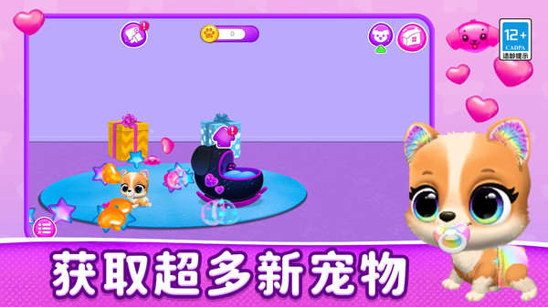 宠物小牧场