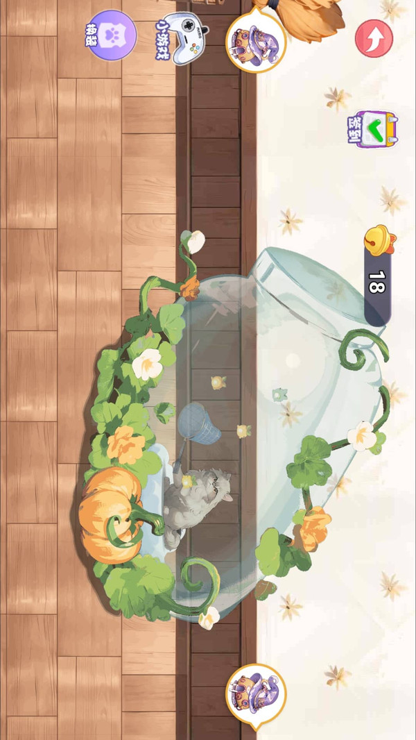 撸猫达人