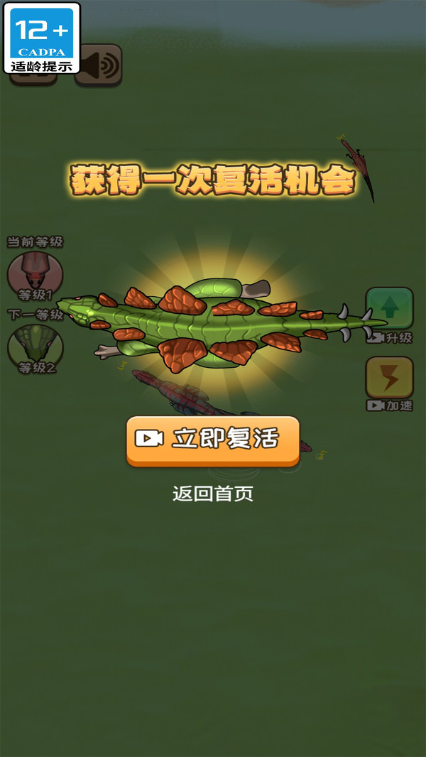 霸王龙争霸
