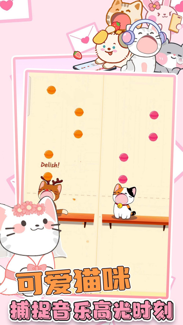猫咪很可爱