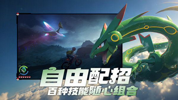宠物集结