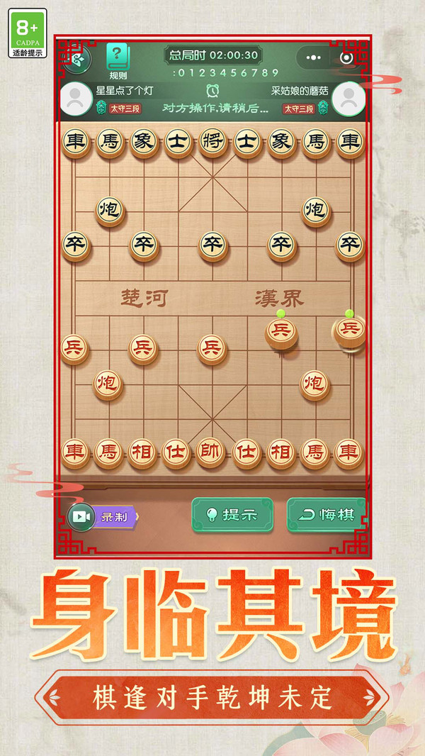 棋阵奇兵