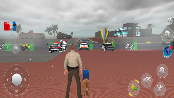 模拟美国警察：解密