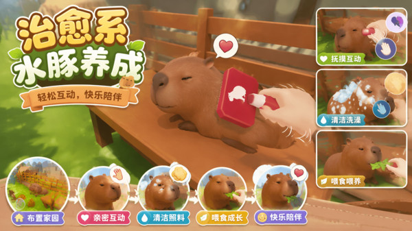 爱宠小屋成长录