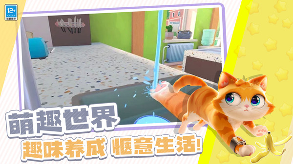 瞌睡猫玩乐时间