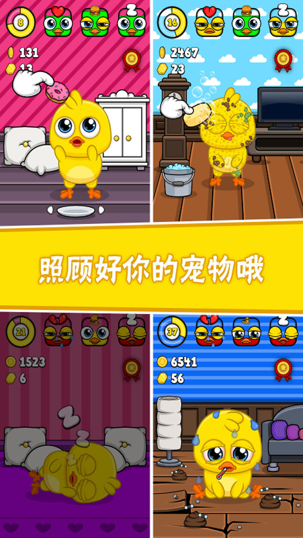 我的宠物小黄鸡