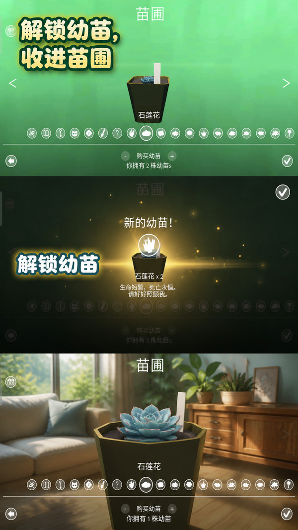 花花养成记