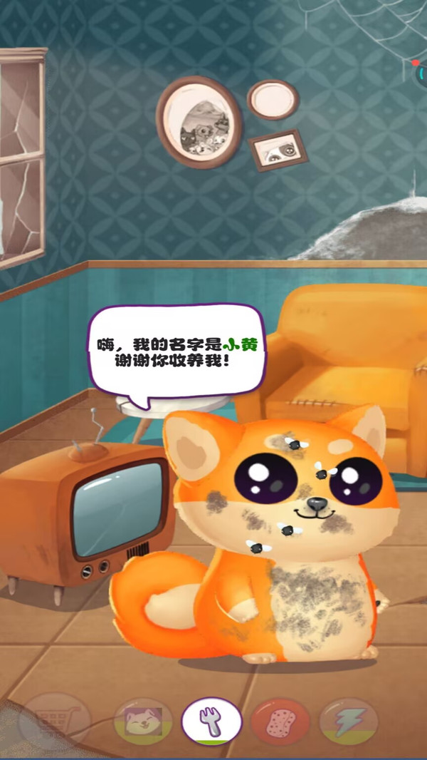 会说话的胡安猫咪-照顾小猫