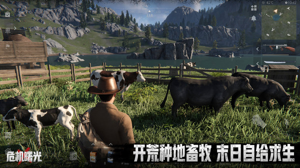 危机曙光