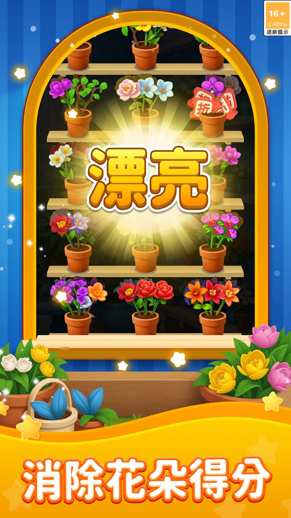 爆爽整理师