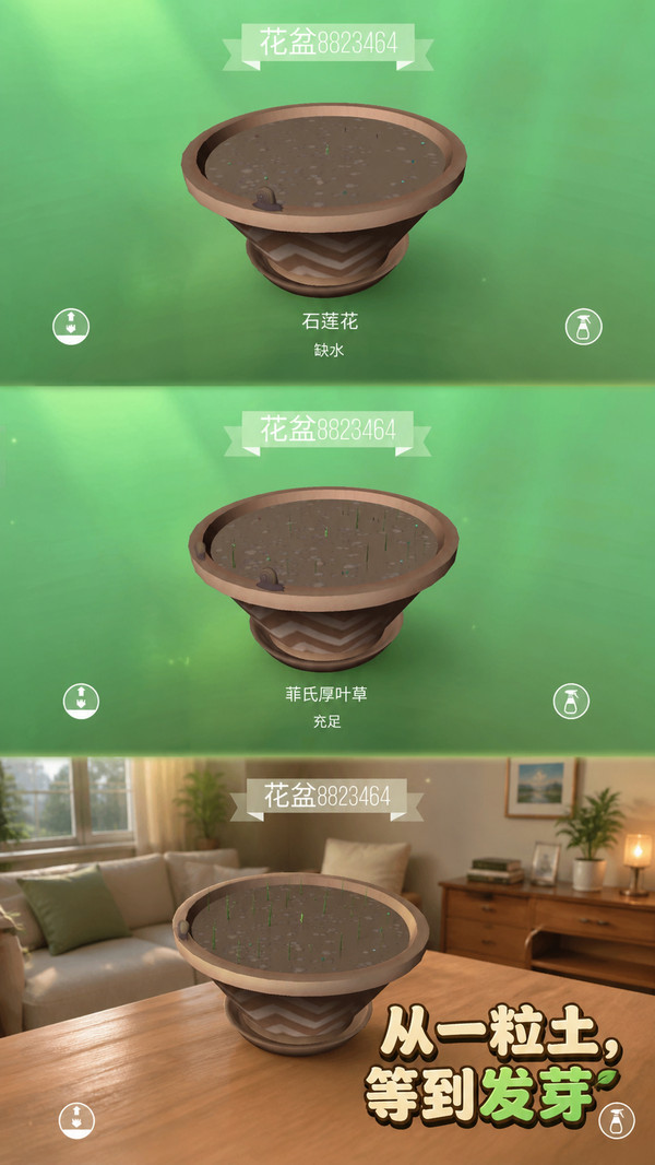 花花养成记