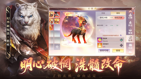 完美世界