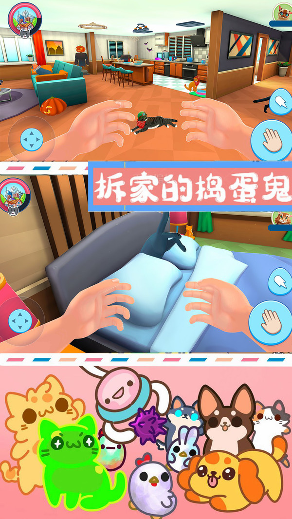 别切到猫咪