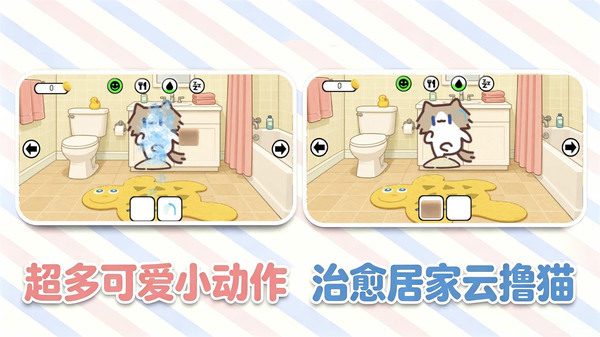 会说话的小猫咪