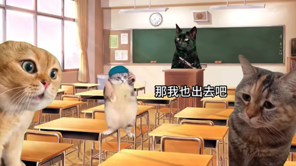 猫猫惊魂夜