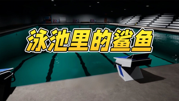 泳池里的鲨鱼
