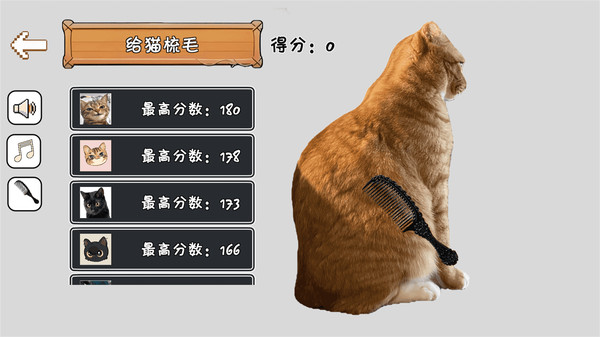 给猫梳毛