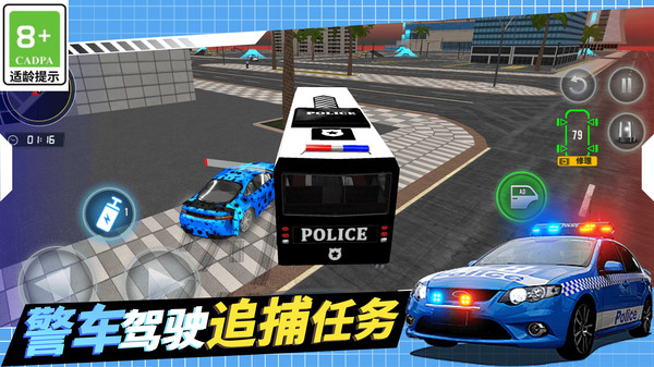 警察抓捕行动