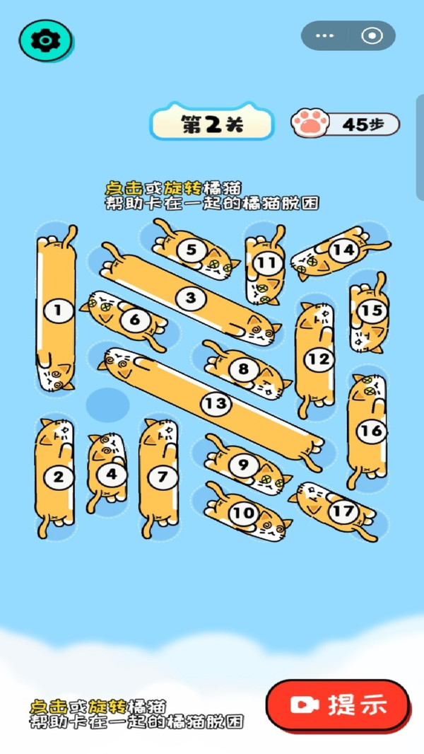 挪挪小猪咪
