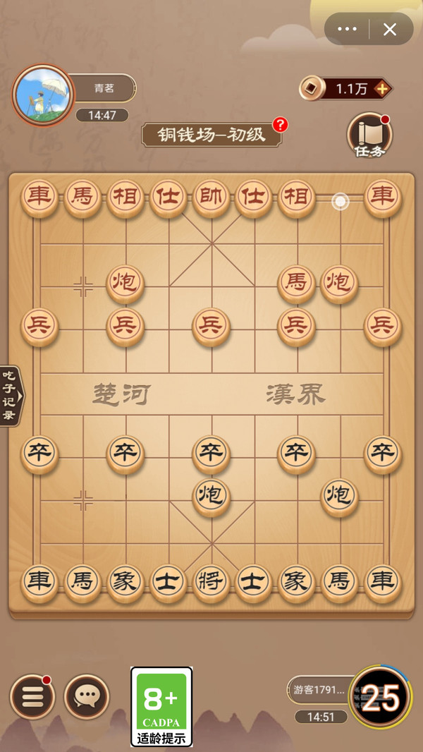 象棋大师